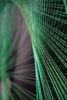 Whirlpool Thread Wall Art in Green