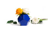 The Mini Dode in Ultramarine