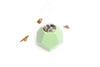 The Mini Dode in Pastel Green