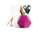 The Mini Dode in Telemagenta